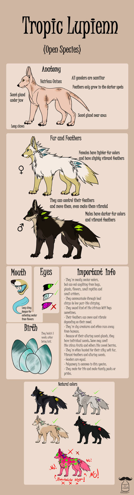 Lupithepn Tropic Lupienn basic species sheet (Open species) by SebastianHansen on ...