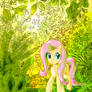 Fluttershy in the Forest