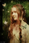Beauty from Darkeness by jeaimerroses