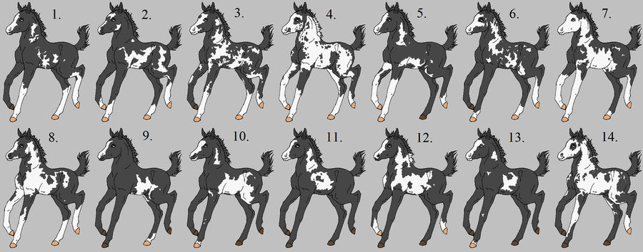 Overo Patterns - CLOSED by Sablewynd on DeviantArt