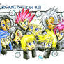 The Organization XIII