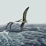 Pteranodons soaring