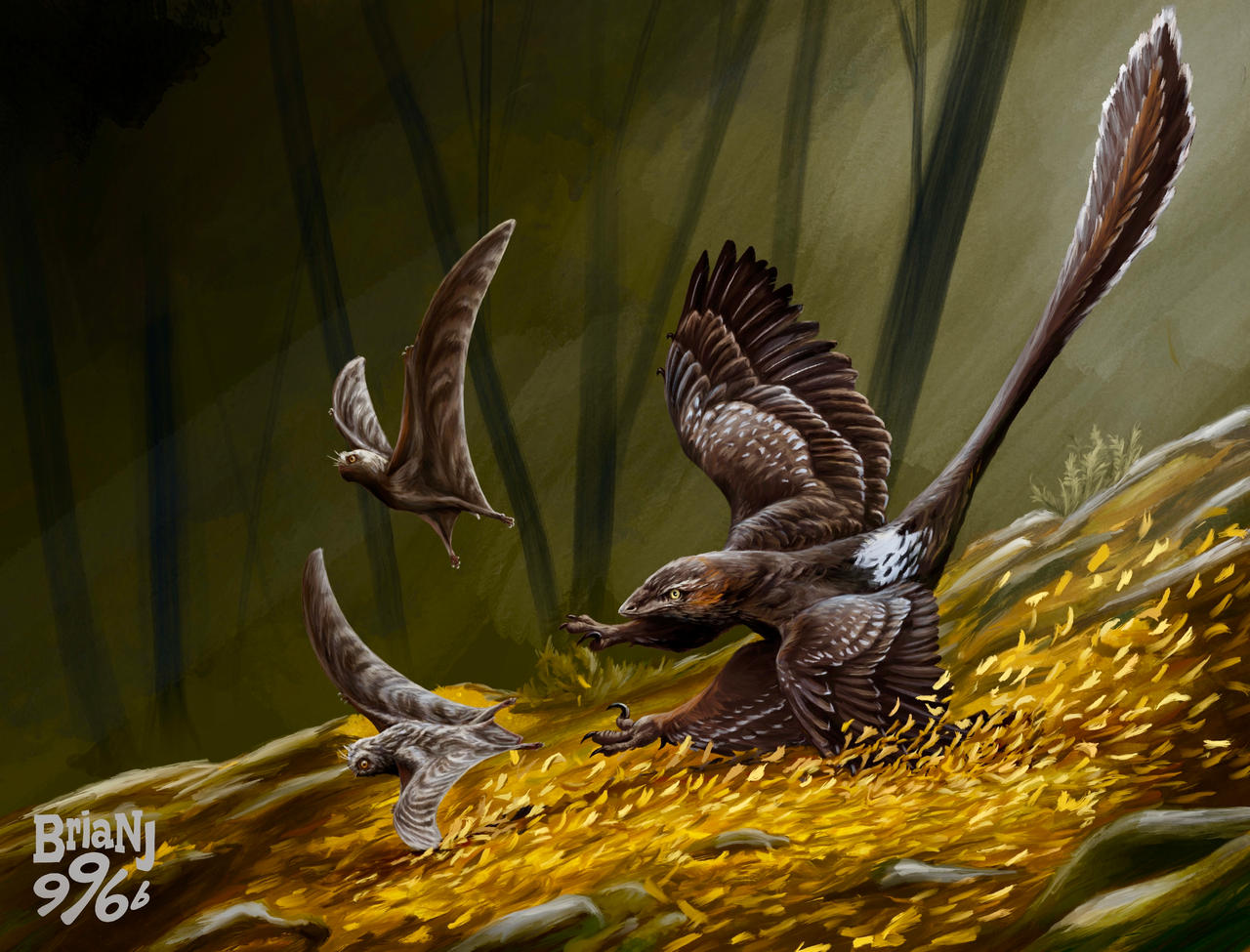 Bird Falling Deviantart Fall by brianj996b on DeviantArt