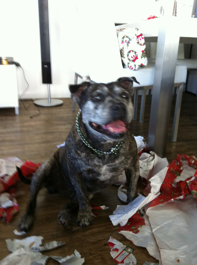 Milli Last Years Christmas