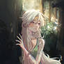 Magic Forest