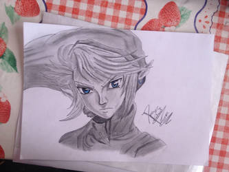 Link - Legend of Zelda - Desenhado por mim