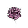 purple rose