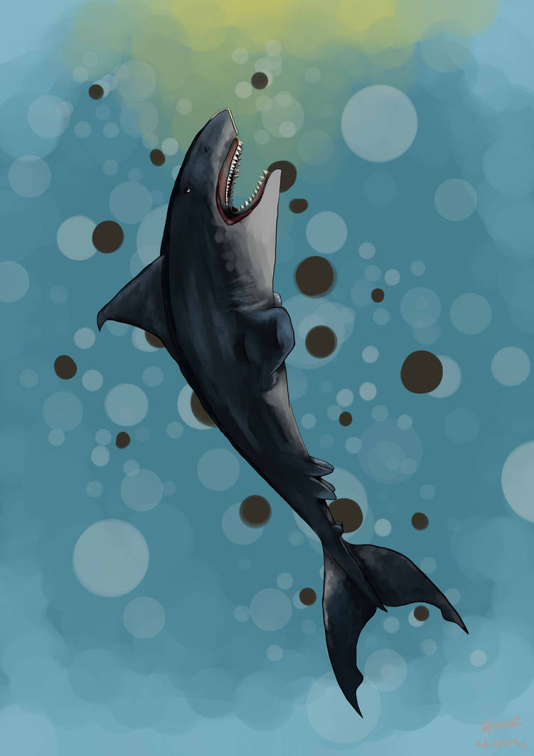 Shark By SuzuArt On DeviantArt shark-by-suzuart-on-deviantart