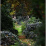 Autumn in the cemetery Praha Olsany