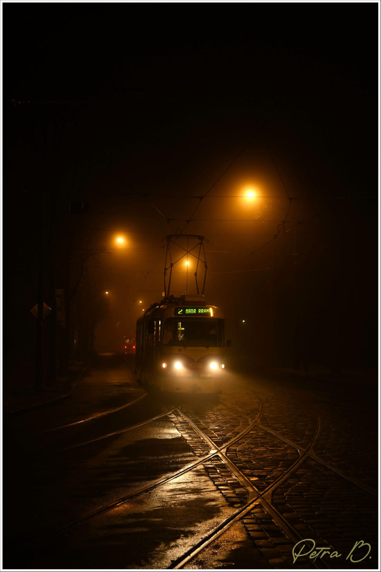 Fog