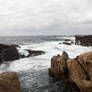 Point lobos ...ocean