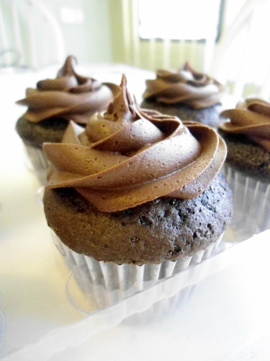 Chocolate Cupcakes