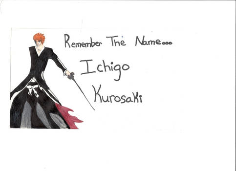 Ichigo Kurosaki...Remember the Name