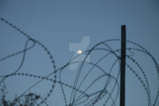 Moon and Razorwire 2