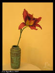 Daylily in Vase by Cillana