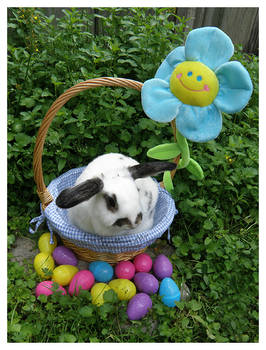 Easter Bunnies: Flower