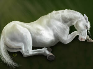 White Horse