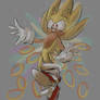 super sonic rings splash