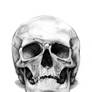 skull_1