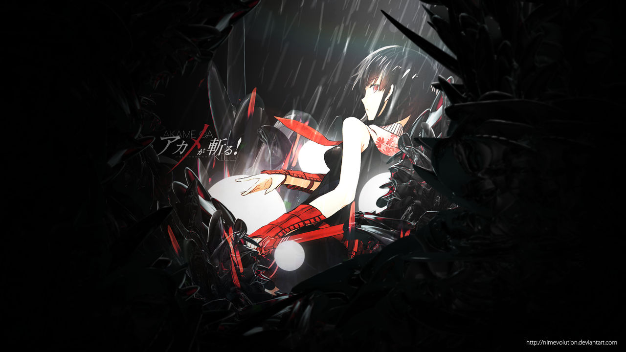 Akame anime girl-Design Desktop Wallpaper Preview