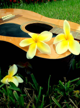 The Dusty Guitar.