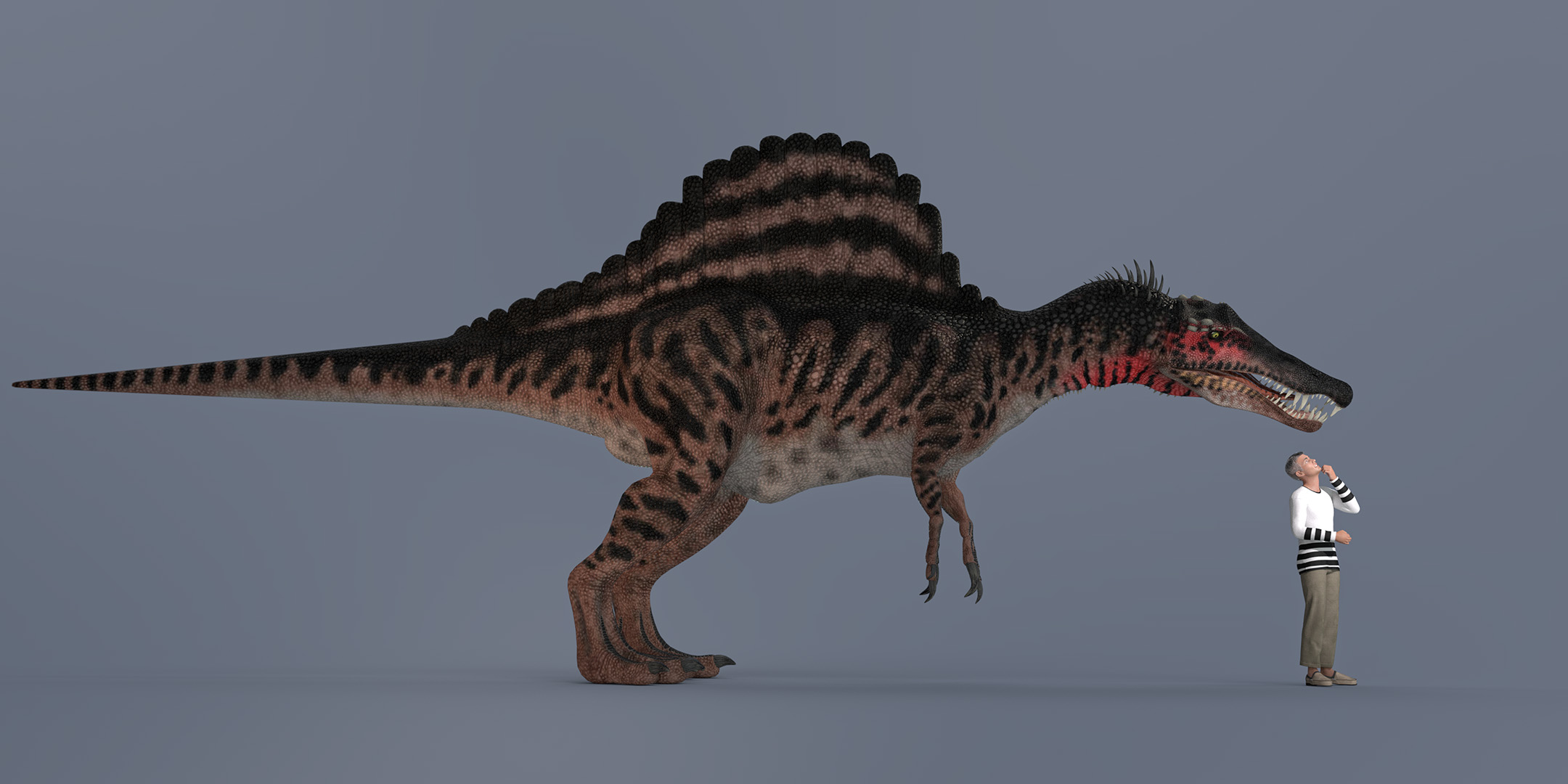 Spinosaurus Size Comparison By Willbear On DeviantArt spinosaurus-size-comparison-by-willbear-on-deviantart
