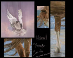 Whimsical Moments Closeups