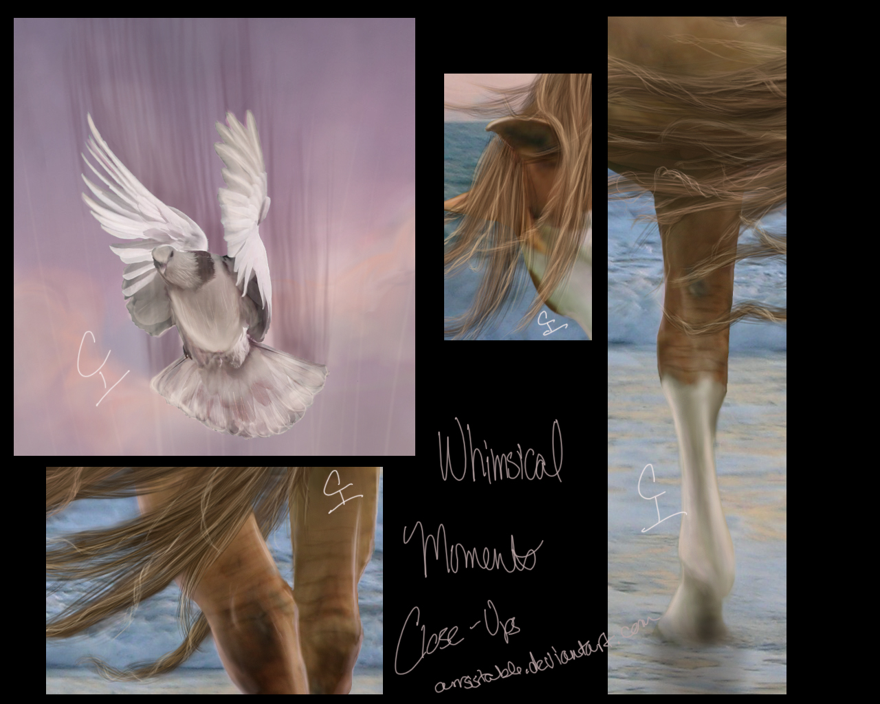 Whimsical Moments Closeups