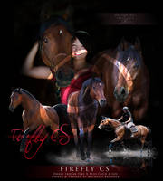 Firefly CS - Commission