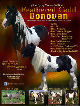 Feathered Gold Donovan