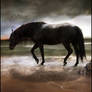 desolation and peace