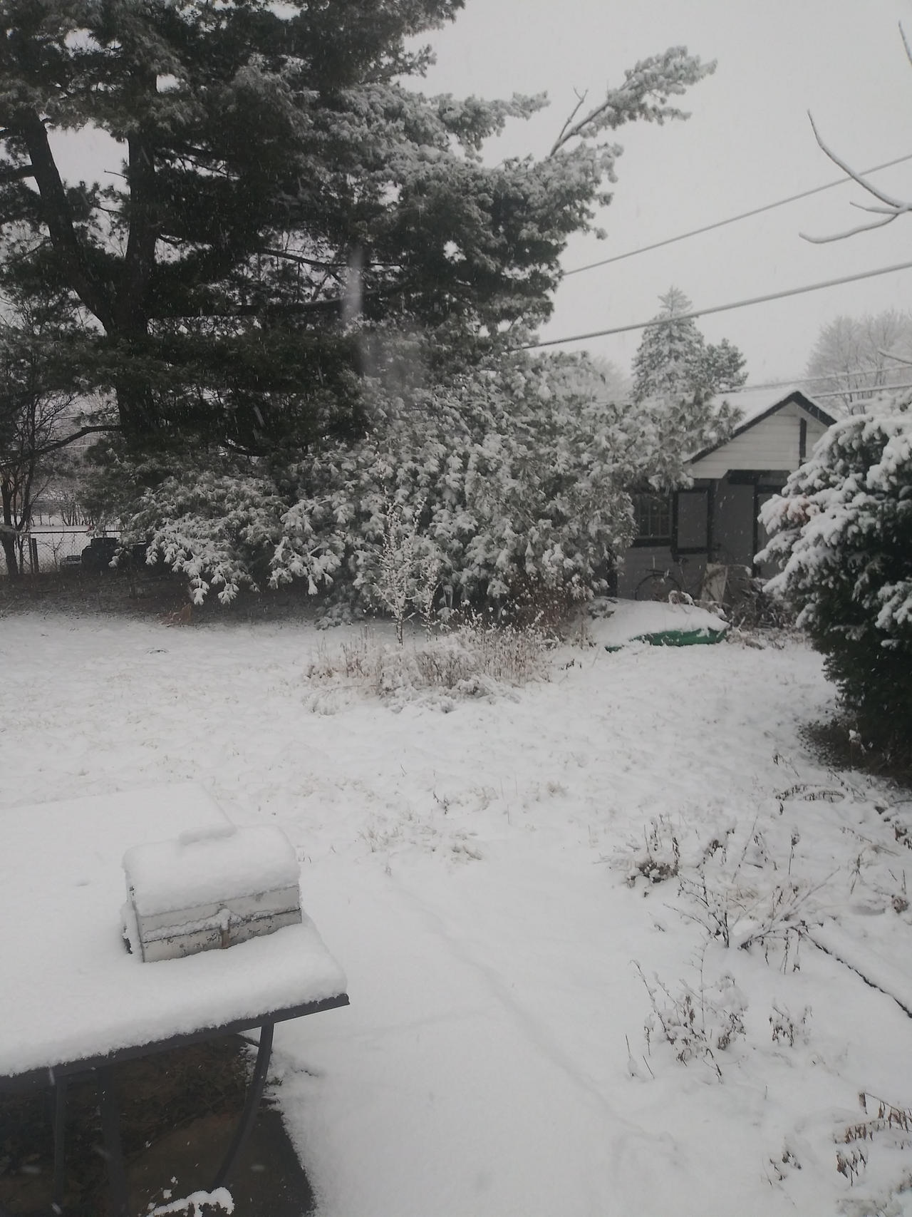 Snow Problem Images Snow problem by gx-9901 on DeviantArt