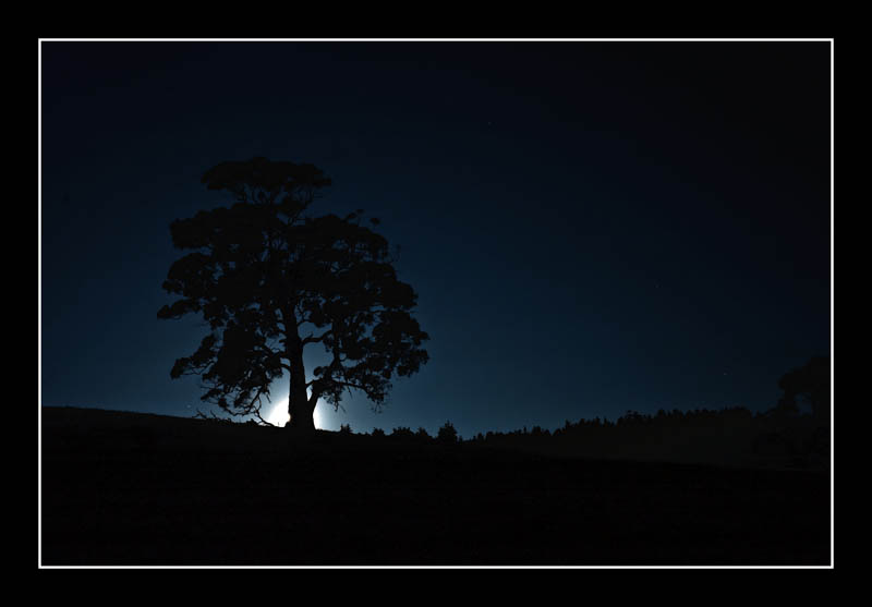 Moon Rise By Firewuff On DeviantArt moon-rise-by-firewuff-on-deviantart