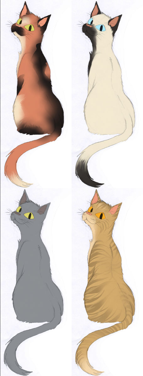 Random Kitty Variations by Cyanicus on DeviantArt