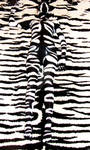 Zebra Camouflage by Bentley-Bodyart Zebra Camouflage by Bentley-Bodyart