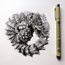 Armadillo Lizard (ink drawing)