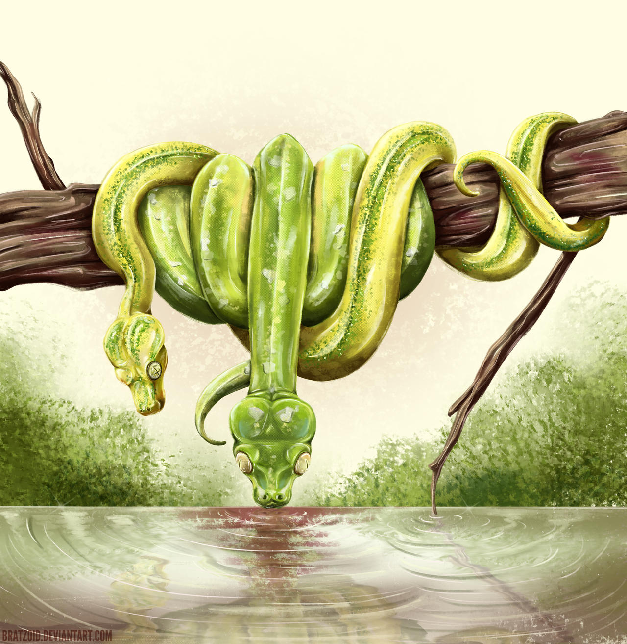 Tree Pythons by Bratzoid on DeviantArt