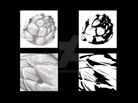 Artichoke Reductive Study 1