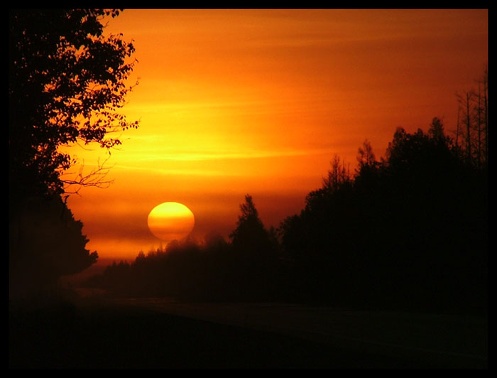 Seney Sunrise