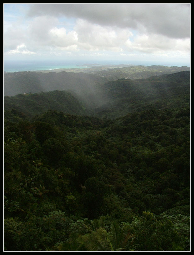 El Yunque Rainforest