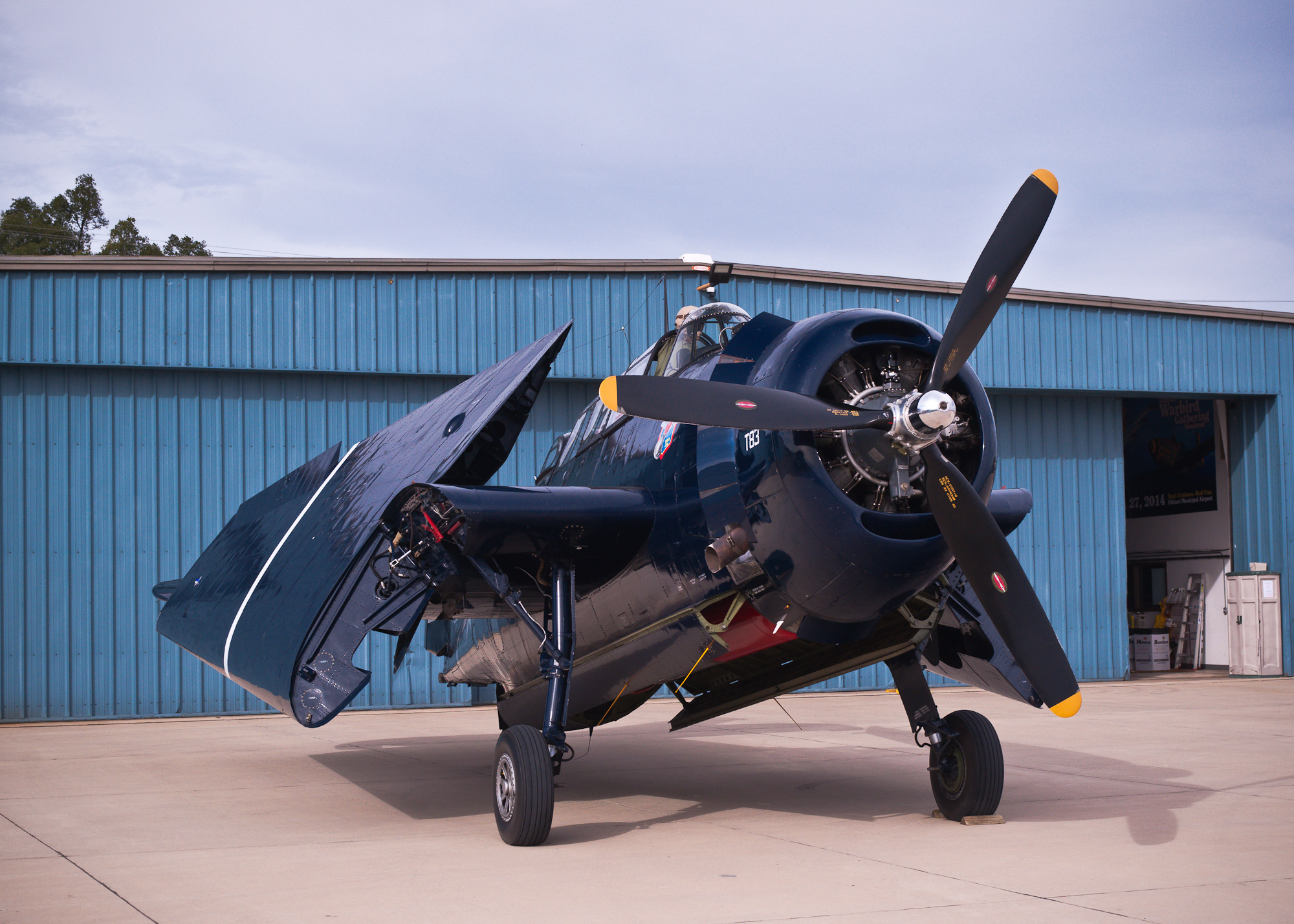 Warbirds 2015 - TBM Avenger 3