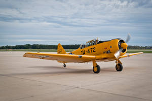 Warbirds 2015 - T6 Texan 2