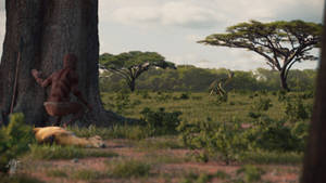 Trespasser