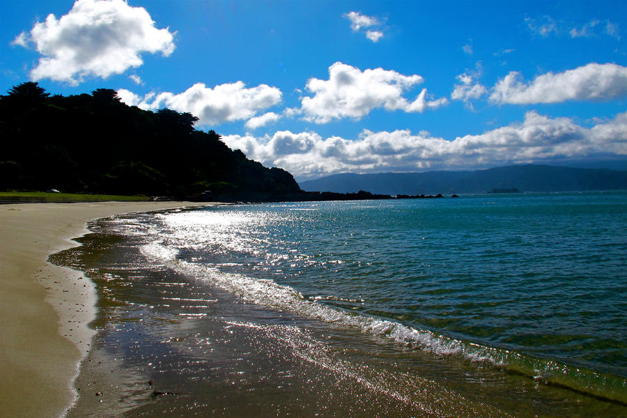 Scorching Bay, New Zealand