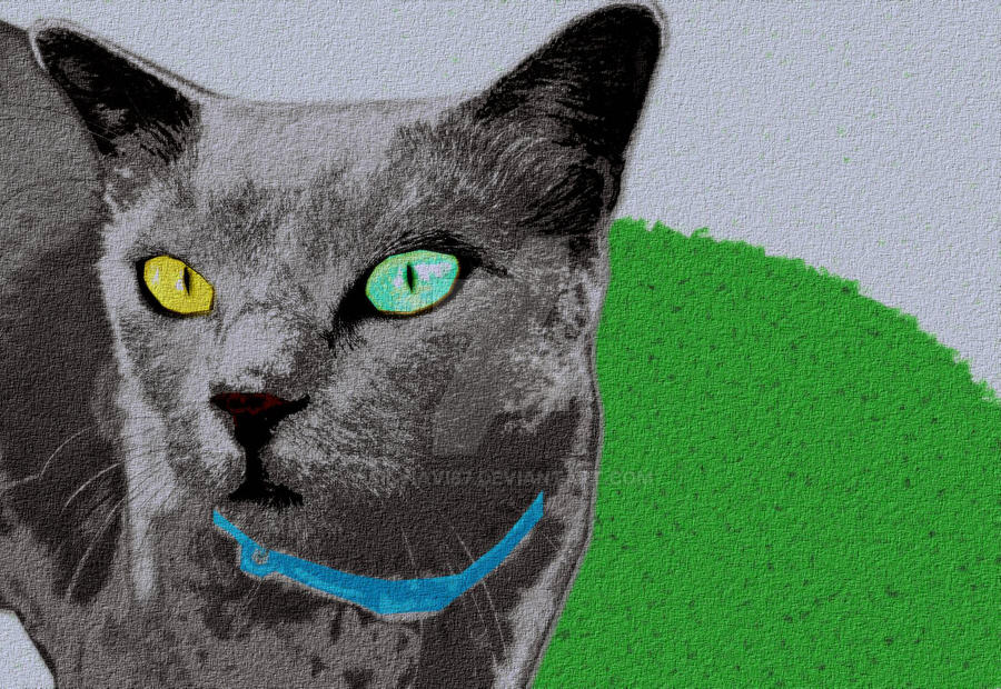 cat is ash by silviavi87 on DeviantArt