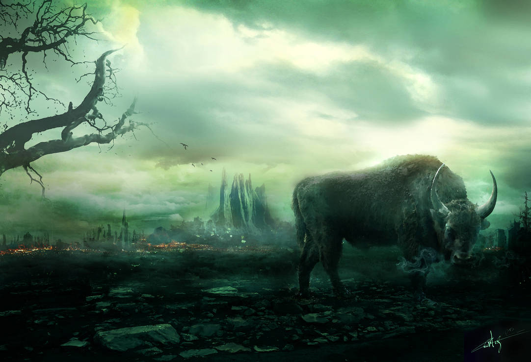 inyathi by Ertugy on DeviantArt