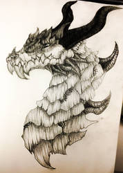 I drew a dragon