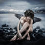- Fallen angel -