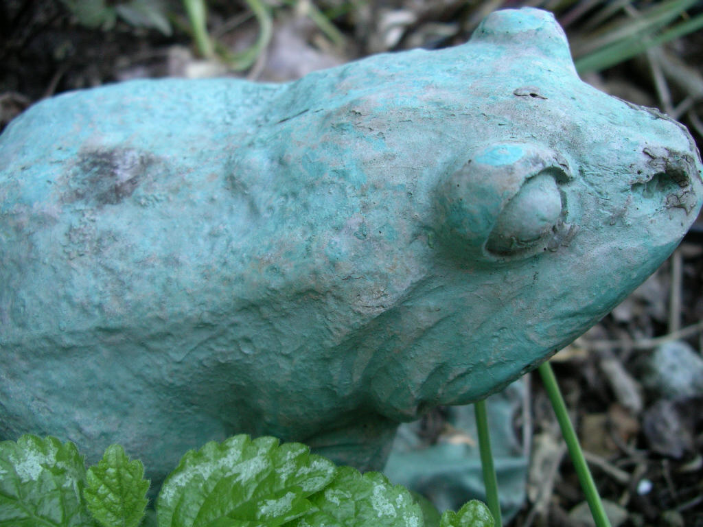 Bullfrog by wallofhorses on DeviantArt