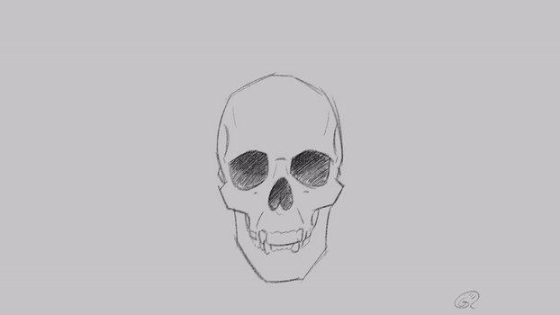 Skull and character study